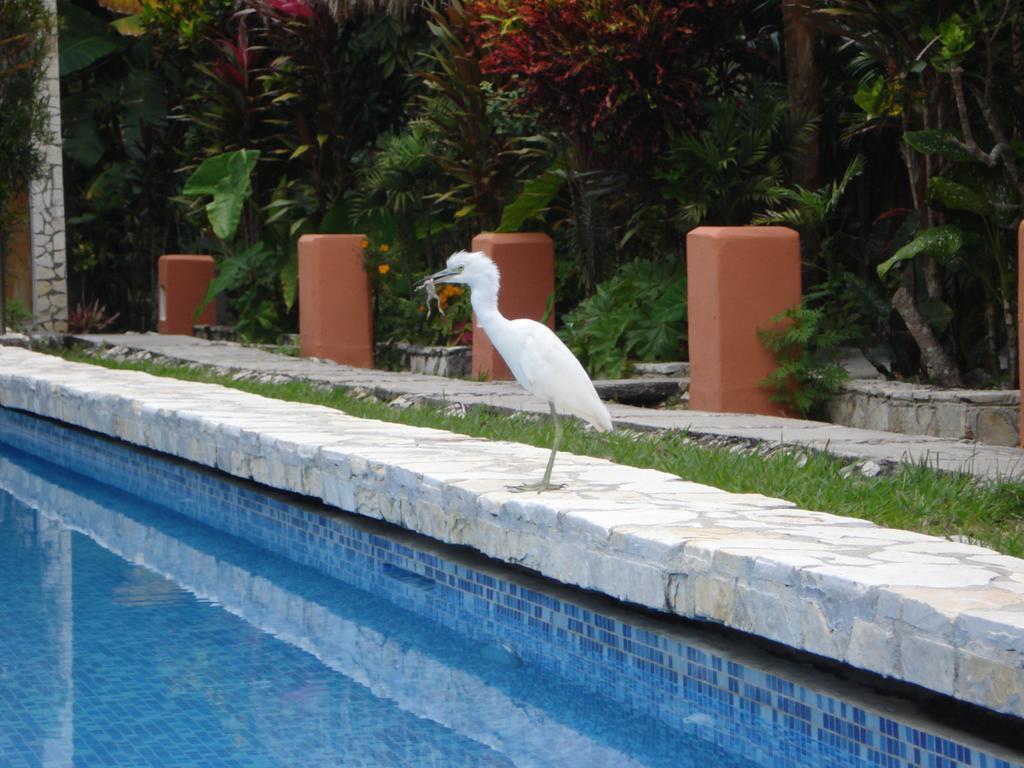 Hotel Jaguar Inn Tikal Eksteriør billede