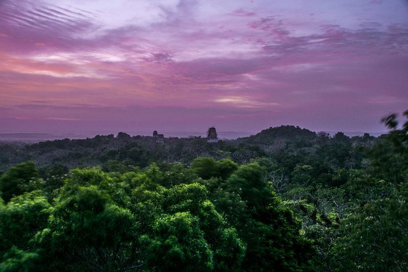 Hotel Jaguar Inn Tikal Eksteriør billede