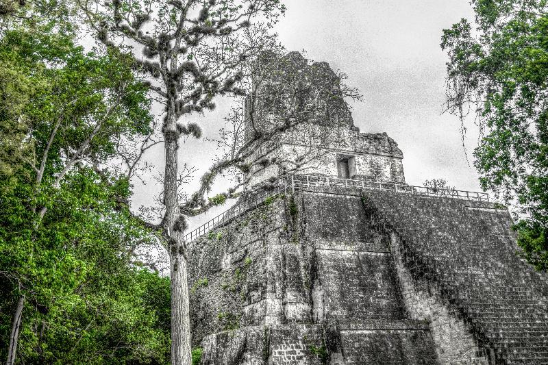 Hotel Jaguar Inn Tikal Eksteriør billede